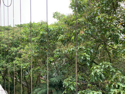 Braddell View (D20), Apartment #253220941